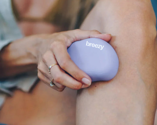 Guía Borrador de Breezy